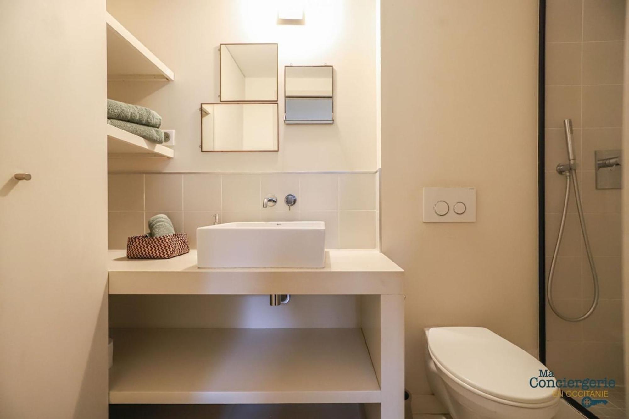 Holiday home Delpech - Maison Hypercentre - Metro - 8 Personnes Toulouse